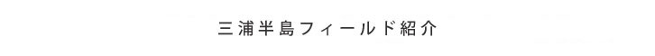 三浦半島フィールド紹介