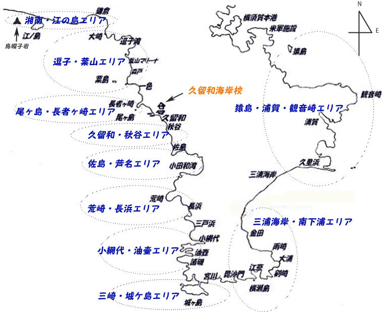 フィールドマップ